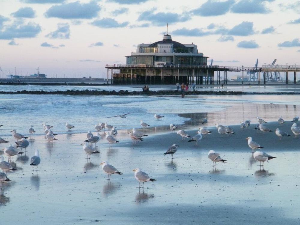 Hotel Seaside Blankenberge Esterno foto